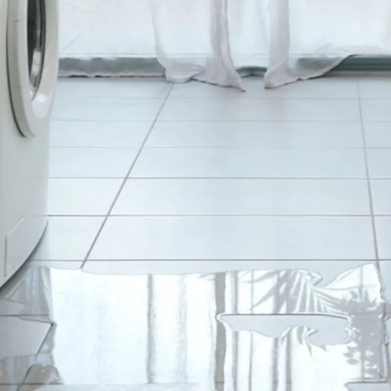 Appliance Leak Cleanup in North Prairie, WI