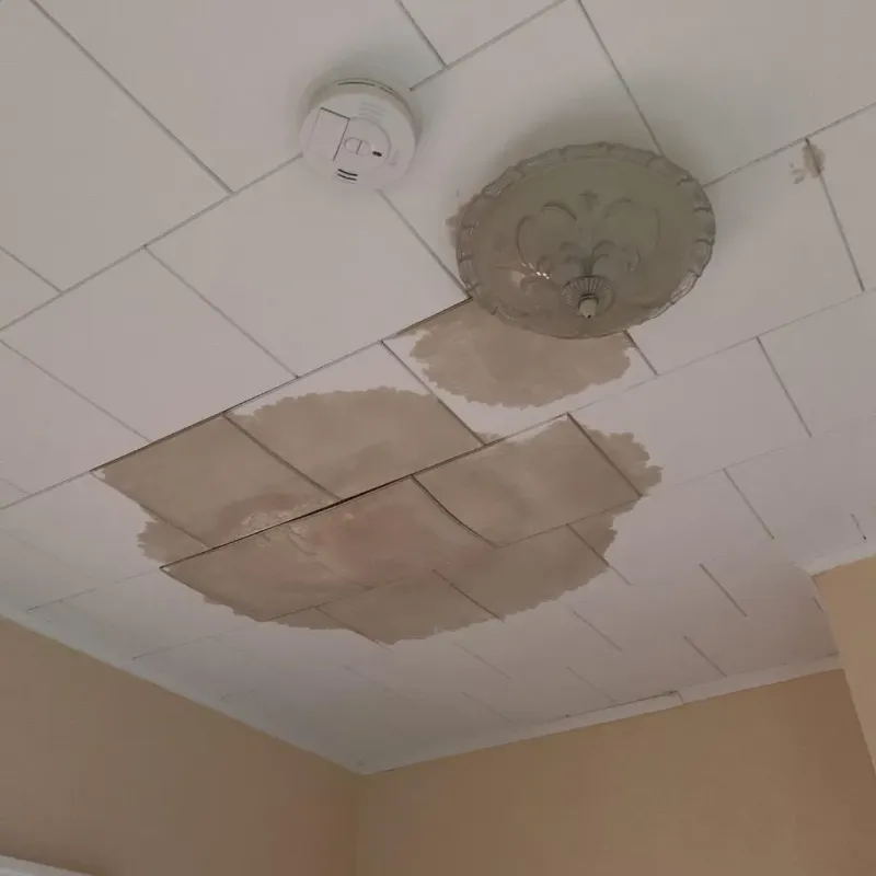 Ceiling Water Damage Repair in North Prairie, WI