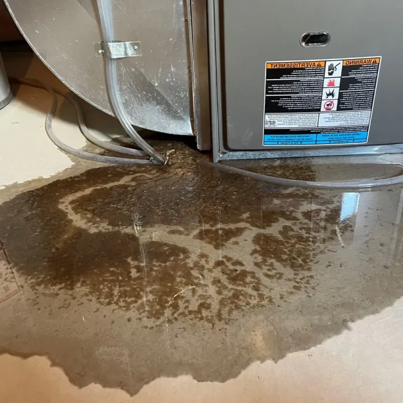 Pipe Burst and Leak Restoration in North Prairie, WI