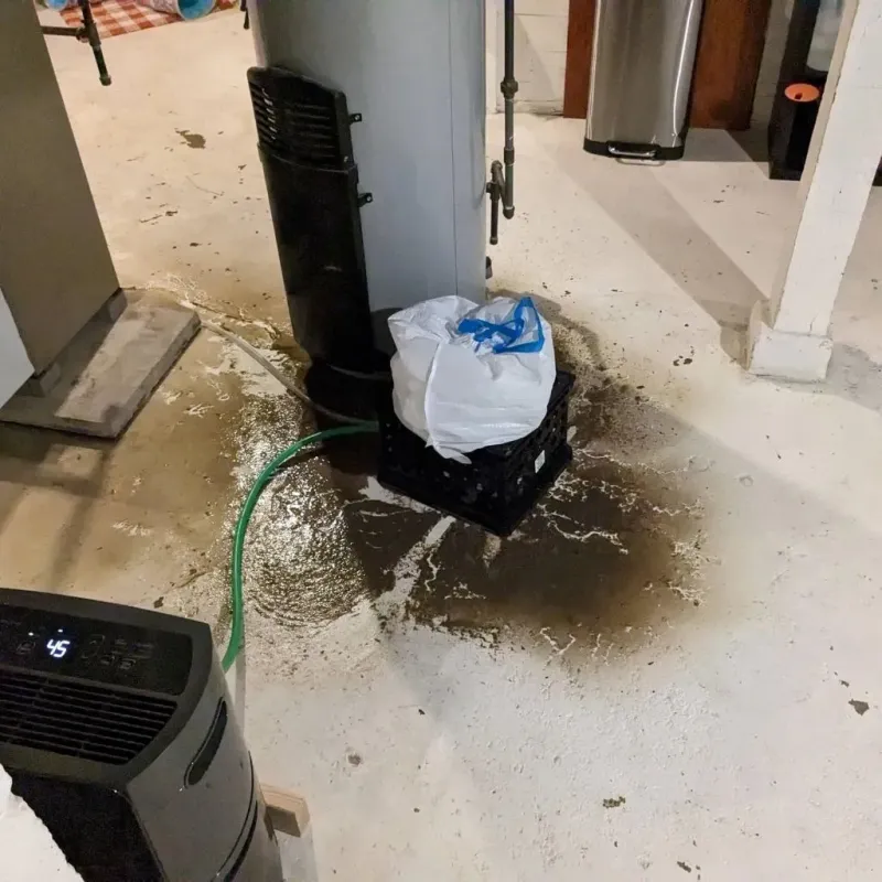Sewage Backup Cleanup Service in North Prairie, WI